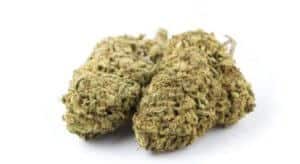 CBD cannabis légal sans THC